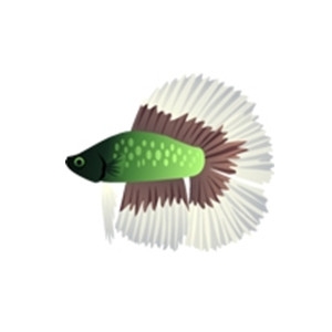 Green Dbltail Betta